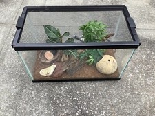 12 Gallon Terrarium w/