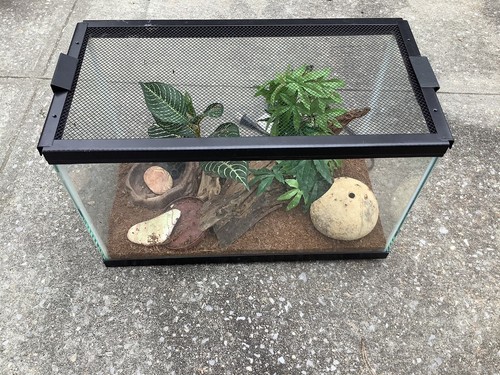 Gallon terrarium - 12, w/