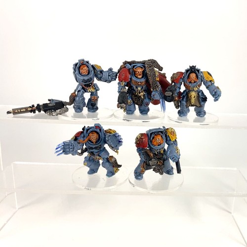 Terminators gardes loups - terminators,