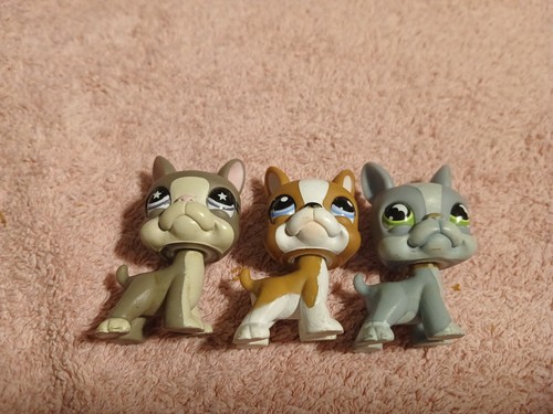 Set lot chien dog - lot, 3