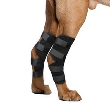 Attelle de Jambe de Chien pour Pattes de Jarret arrière genouillère de Chien ...