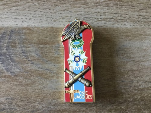 Insigne promotion cne - insigne,
