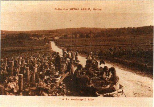 Cpm reims coll champagne - reims,
