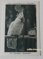 Image Collection CHROMO : CACATOES (AUSTRALIE) (43) PARC ZOOLOGIQUE de VINCENNES