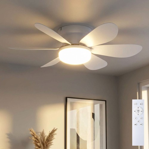 Ventilateur plafond fan - ventilateur,