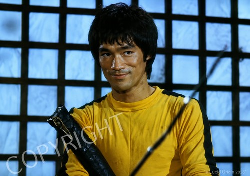 Photo bruce lee sourire le - photo, a4