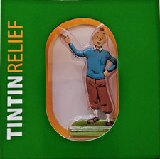 Tintin relief, Tintin