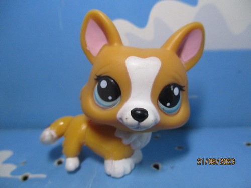 Petshop chien corgi 1360 - petshop, n°1360