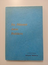 En flânant dans Poitiers –