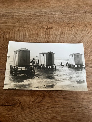 Photo ancienne attelage n56 - ancienne,