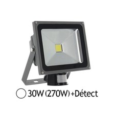 PROJECTEUR LED 30W AVEC