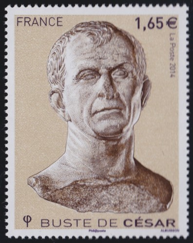 2014 france 4836 buste - france,