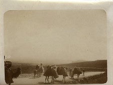 PHOTO ANCIENNE - VINTAGE SNAPSHOT - TLEMCEN ALGÉRIE CARAVANE Vers 1910