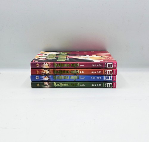 Mangas intégrale hakoniwa - mangas,