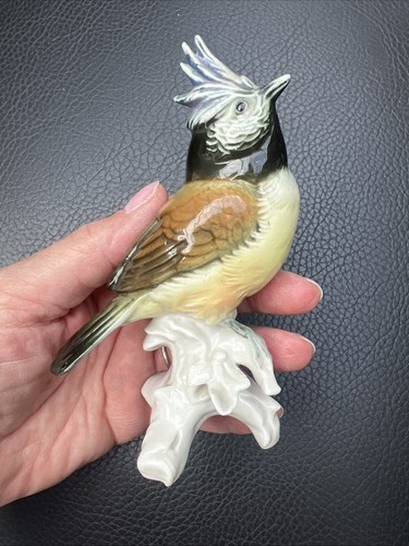 Karl ens bird vogel - ens,
