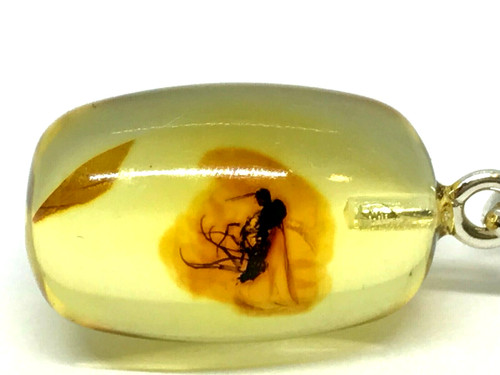 Pendentif ambre baril cadeau - pendentif,