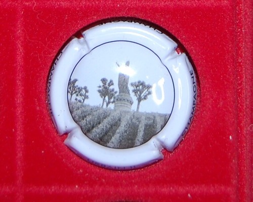 Plaque muselet champagne - 1,