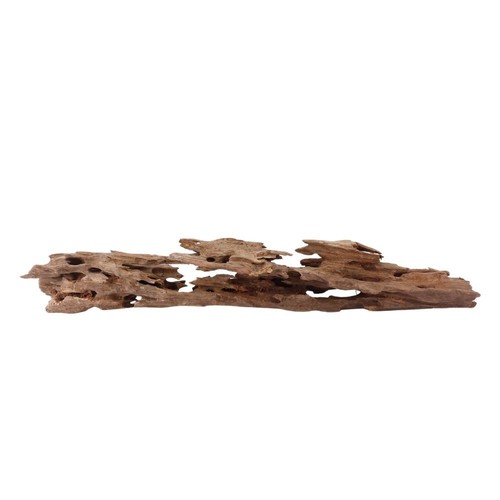 Honey peigne racine - xl,