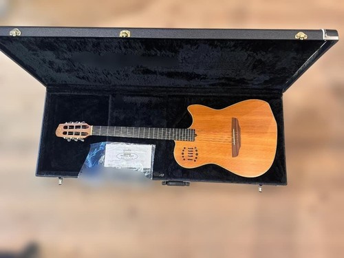 Godin multiac duet - duet, with