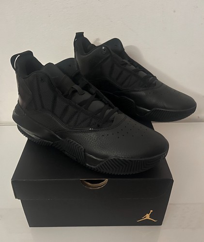 Nike air jordan stay loyal