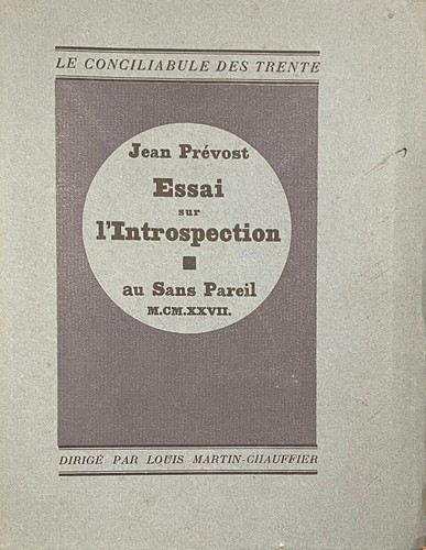 Essai sur introspection - essai, l'introspection