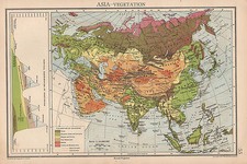 1942 Carte ~ Asie Végétation Mountain Hauteurs Himalaya Inde Chine Woodland