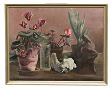 Nature Morte Fleurs Plantes en