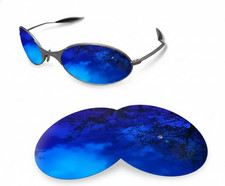 Verres polarisés de