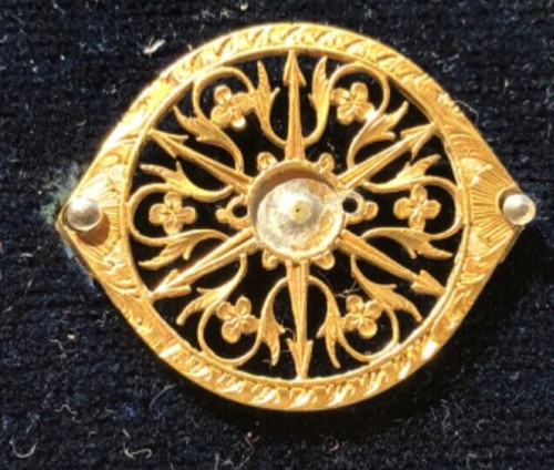 Coq montre gousset - coq, de