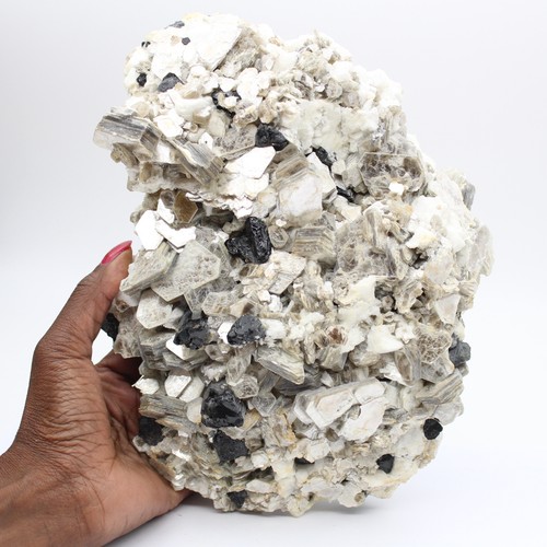 Grand mica avec tourmaline sur
