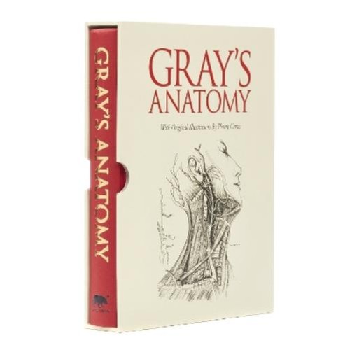 Henry gray anatomy - gray's,