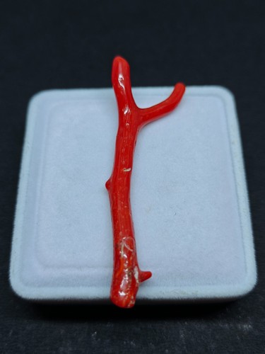 Bâton branche poli - branche, corail