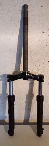 Fourche origine noire - fourche, d'origine
