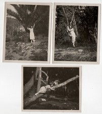 Photo 3 tirages auprès de mon arbre Cannes 1922 femme nature Woman tree snapshot