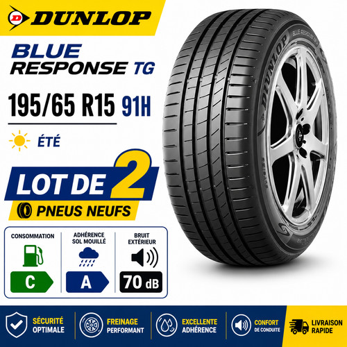 Lot pneus dunlop blue - de,