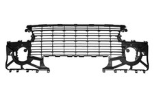 Grille Centrale Pare-Chocs