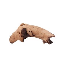 Décoration D'Aquarium Racine