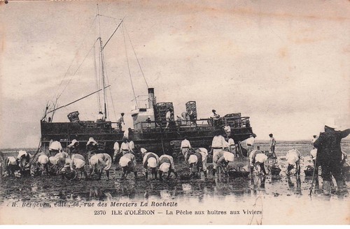 Charente maritime ile - ,