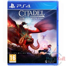 Jeu Citadel : Forged with Fire