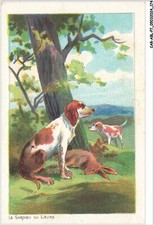 CAR-ABLP7-0612-CHIEN - le