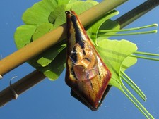 Ancien Pendentif émaillé - Emaux de LIMOGES - Signée R. GULET