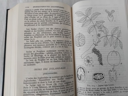Pleiade botanique 1960 - la,