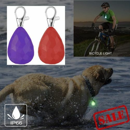 Pack rechargeable dog safety - rechargeable,