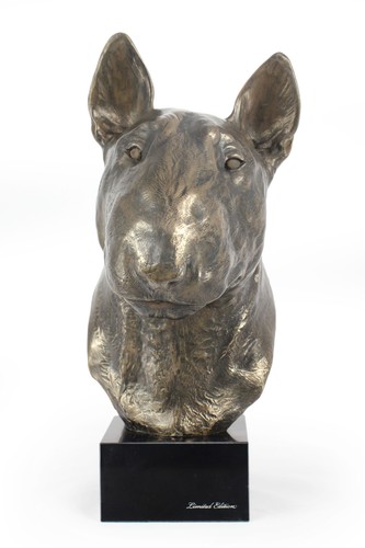 Bull terrier grand tête sur - bull,
