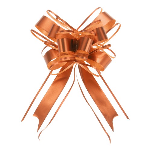 Pièces ruban organza - 20,