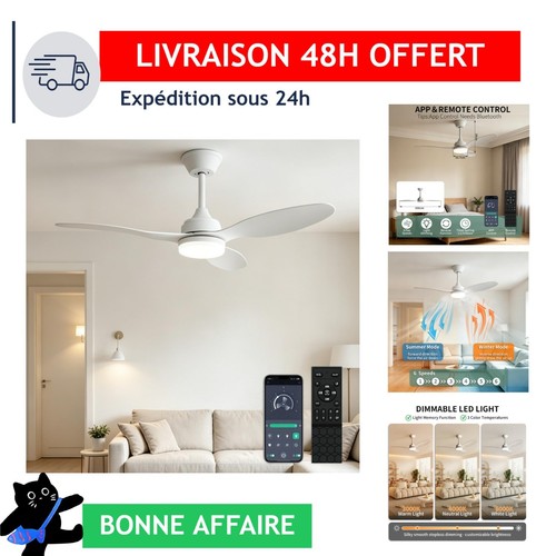 Ventilateur plafond 106cm avec - ventilateur,