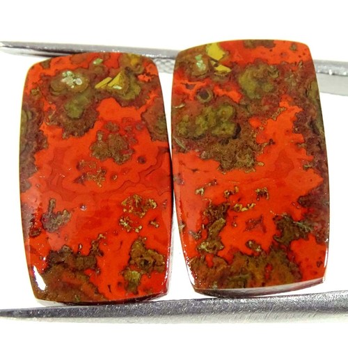 Paire cabochons agate - paire,