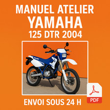 Manuel Atelier Yamaha 125 DTR