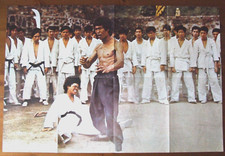 1 POSTER DE MAGAZINE BRUCE LEE