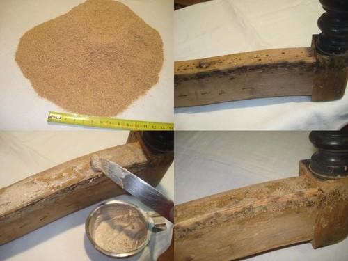 Sciure fine pour - pour, rebouchage,